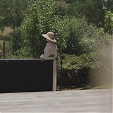533.jpg